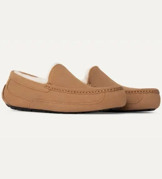 Ascot Slippers